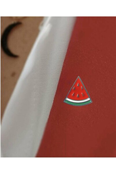 Genel Markalar Filistin Direnişi Sembolü Karpuz Dilimi Rozet 1 adet