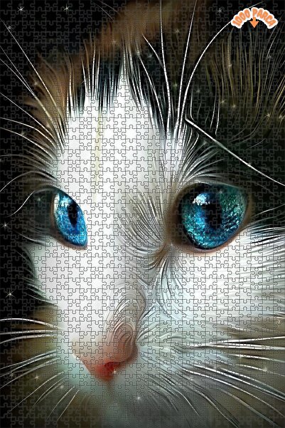 Teona Ahşap Mavi Gözlü Kedi Yakın Çekim Dekoratif Çift Katlı Çerçeveli Asılab...