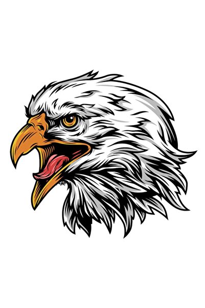 HMNL Eagle Kartal Oto, Motorsiklet, Kask, Laptop Sticker 14x13 Cm