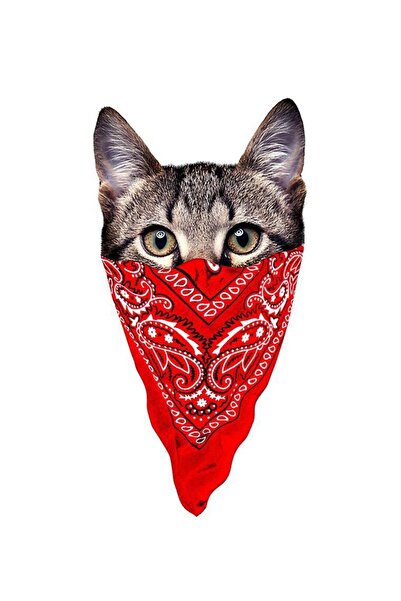 HMNL Bandana maskeli kedi Araba, Motorsiklet, Kask, Laptop,cam Sticker 14x7 Cm