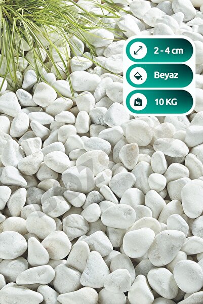 White Dolomite Stone 10 Kg 2-4cm 10 Dolomite Stone Garden Ornament Aquarium Stone Stream Pebble Stone