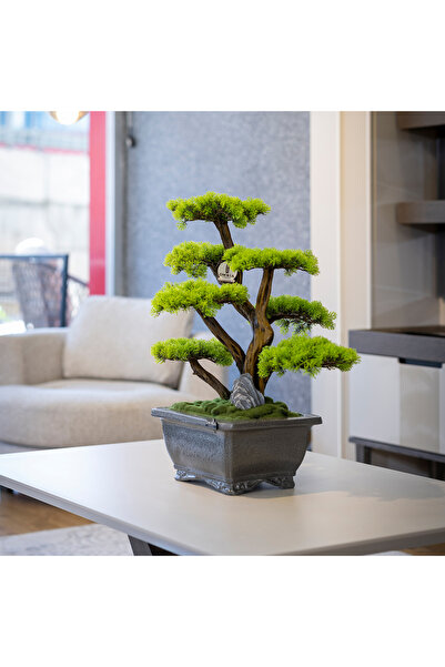 Omnia Concept Flora Bonsai-6 Masaüstü Kullanıma Uygun Doğal Ağaç Gövdeli Yapay Bonsai Ağacı - 40x50 Cm