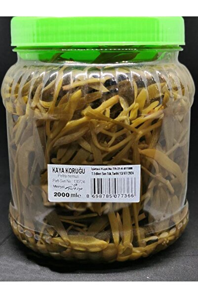 Hacıoğlu baharat Hatay Yöresel Kaya Koruğu Turşusu 2 Litre