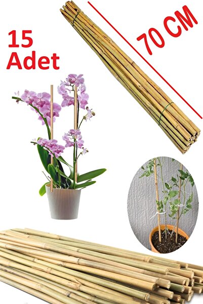 My Family Bitki Destek Bambu Hasır Doğal Çubuk Orkide Sarmaşık Çiçek Türü Destek Çubuğu 15 Adet