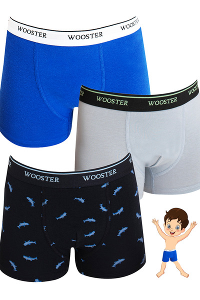 Wooster Erkek Çocuk 3'lü Pamuklu Boxer