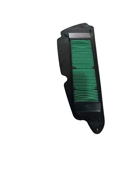 Honda Forza 250 Hava Filitresi 2021 2024 Moto11