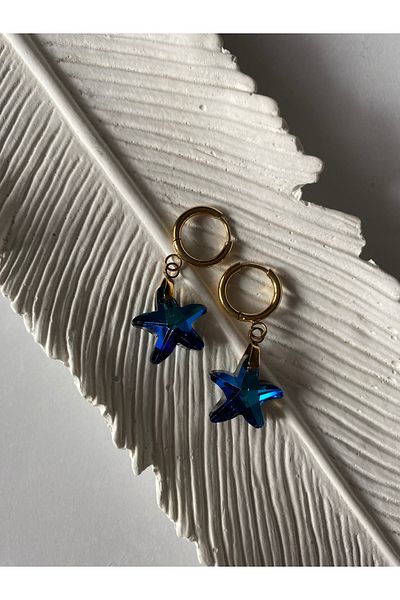 Venüs Accessory Blue Starfish Steel Earrings