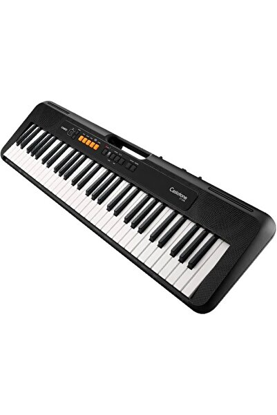 Casio Ct-s100 61 Tuşlu Org