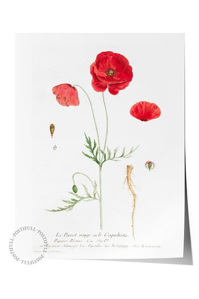 Postifull Frameless Poster Painting, Wall Poster, Artistic Hd Print, Poppies Field , Maximalist No:211