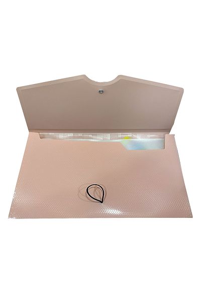 FLY COLOR 13 Compartment Bellows Elastic Pink File