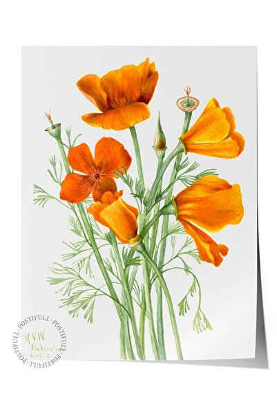 Postifull Pictură cu poster fără cadru, poster de perete, imprimare artistică...