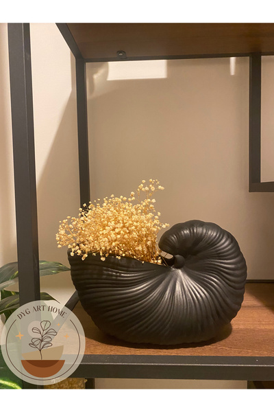 DygArtHome مزهرية حلزون سيراميك سوداء - 25x17