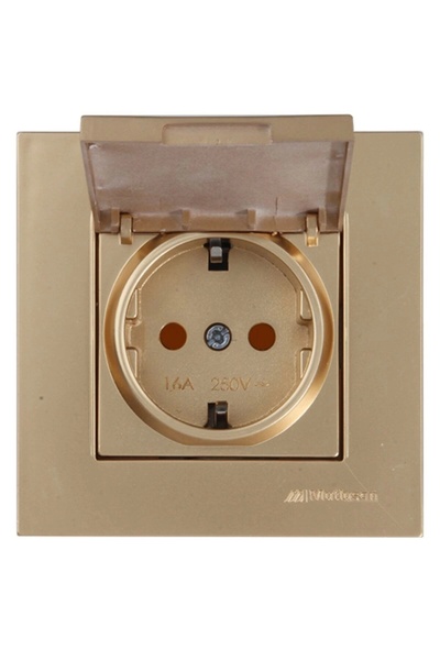 Mutlusan Antik Altın Kapaklı Topraklı Priz