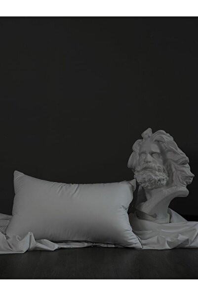 İz Concept 2 Pieces Trace Premium XXL Pillow Ultra Plump Form Medium Hard 100% HCS Silicone Micro Fiber Fabric 1000Gr