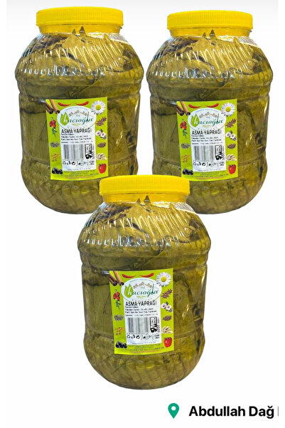 Hacıoğlu baharat Hatay Yöresel Doğal Salamura Yaprak 5 Kg Bidon / 3 Adet