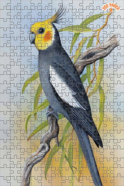 Teona Ahşap Sultan papağanı Dekoratif Çift Katlı Çerçeveli Asılabilir Ahşap P...