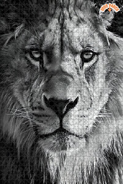 Teona Ahşap Gururun Kralı Dekoratif Çift Katlı Çerçeveli Asılabilir Ahşap Puz...