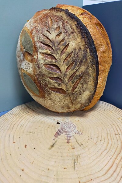 İMREN ALAÇATI TATLICISI & SAKIZLIM İmren Alaçatı Limonlu Kekikli Ekşi Maya Ek...