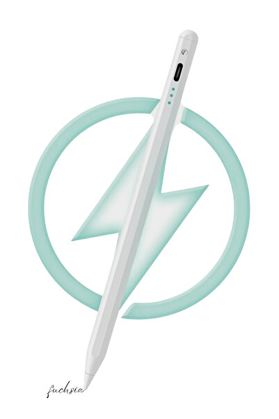 Fuchsia iPad Air 11 inç 6. Nesil M2 Çip Uyumlu Avuçiçi Red ve Eğim Özellikli Şarj Göstergeli Tablet Kalemi