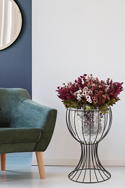 Begüsa Anafor Saksılık Siyah 43 Cm Şeffaf Saksı Hediyeli