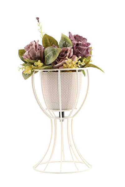 Begüsa Anafor Saksılık Beyaz 25 Cm Krem Saksı Hediyeli