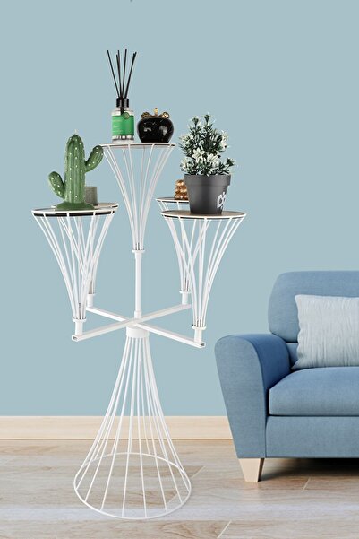 Begüsa Dimitri 5.Li Saksılık Beyaz