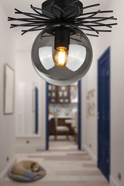 Begüsa Tesla Tekli Avize Siyah Füme Cam