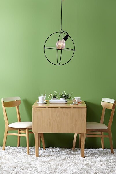 Begüsa Vizyon Tekli Siyah Model:09 Sarkıt Avize