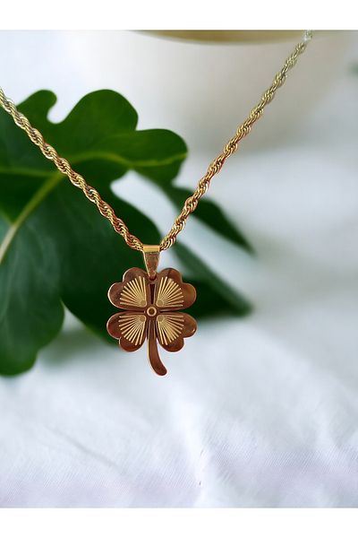 Brillo Leafy Steel Luck 4 - Clover Twist Chain Necklace