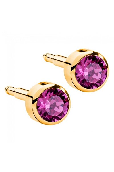 nina Nur Dükkanı Steril Kulak Delme Küpesi Gold Mor Taş