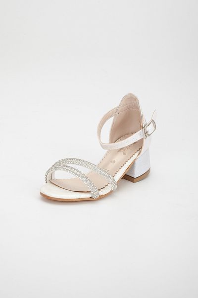 Sude evening shoes