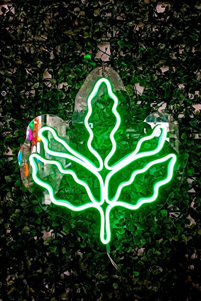 vinyuup Palamut Dalı Yaprağı Taraftar Ürünü Neon Led Işıklı Tablo 27 X 30 Cm