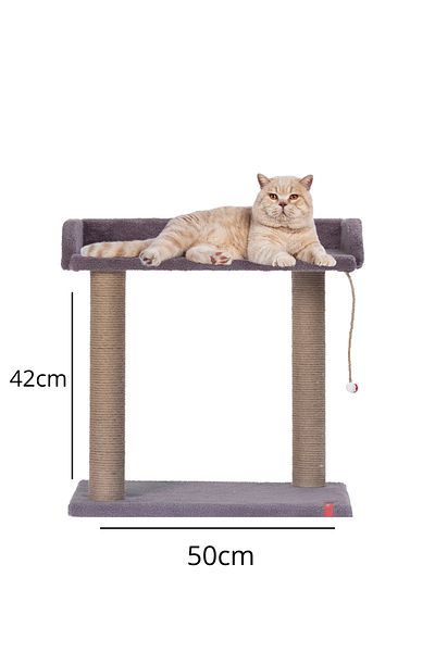 PUGALO Cat Scratching Post with Platform Seat - Anthracite with Large Bed