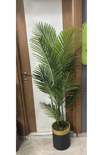 İremÇiçekçilik Siyah Gold Saksıda 170 Cm Areka Palmiyesi Yapay Ağaç