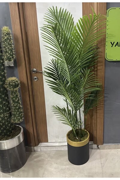 İremÇiçekçilik Siyah Gold Saksıda 170 Cm Areka Palmiyesi Yapay Ağaç