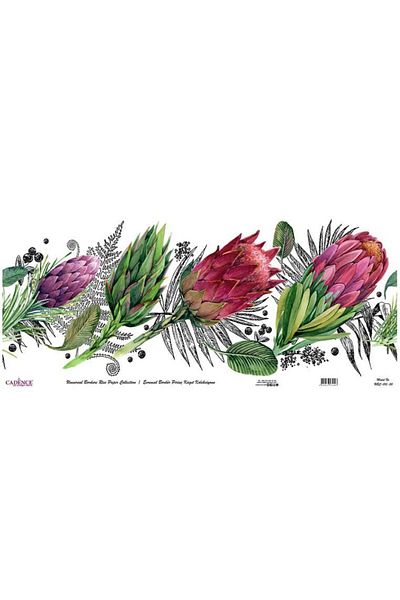 Cadence Universal Border Brass Paper Collection Ubc-015