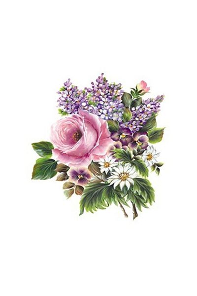 Cadence Xl03 35x50 Rose Land