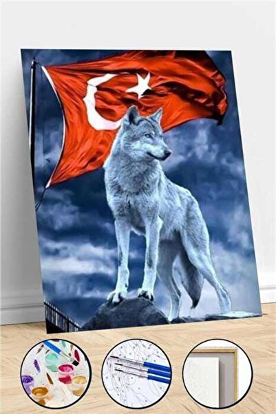 Pastelya Sayılarla Boyama Seti Çerçeveli Kasnaklı Tepedeki Kurt 50 X 65 Cm