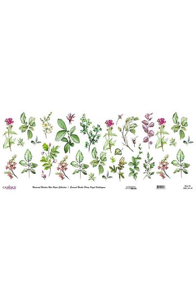 Cadence Universal Border Brass Paper Collection Ubc-014