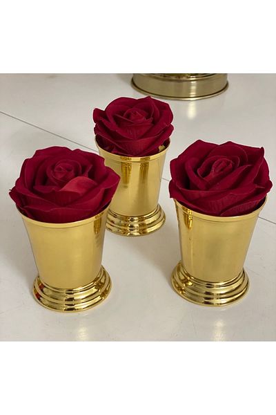 Elzemm store GOLD COATED 3-PIECE ROSE BUCKET RED VELVET INCLUDES ROSES