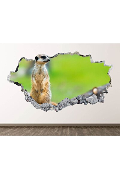 Kt Grup Дика природа: дивовижні тварини, повний HD-друк, сучасні наклейки на ...