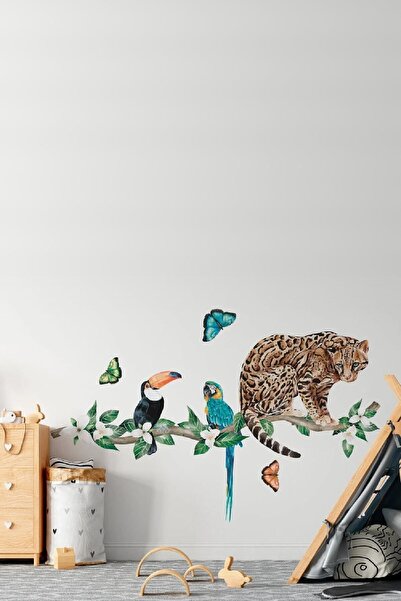 Kt Grup Safari Dünyası Amazon Muhteşem Hayvanlar Duvar Sticker Seti