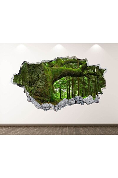 Kt Grup Şehir ve Doğa Manzaraları Full Hd Baskı 3d Modern Duvar Sticker