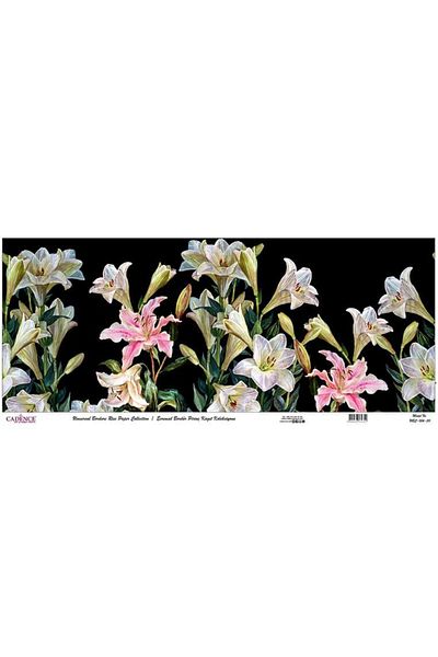 Cadence Universal Border Brass Paper Collection Ubc-006