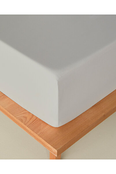 English Home Novella Premium Gray Soft Cotton Single Elastic Sheet