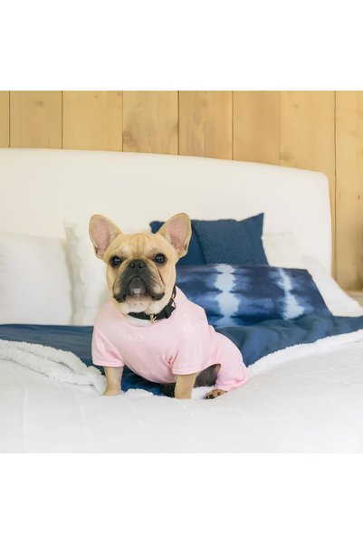 Barkie İzmir Gap Dog Pajamas