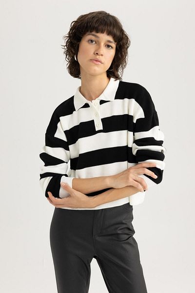 DeFacto Polo Neck Striped Regular Fit Sweater - A2357ax23au