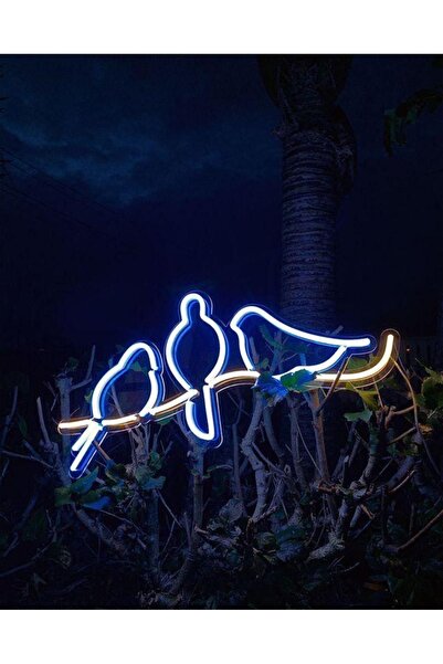 vinyuup Bird 3 Kuş Neon Led Işıklı Dekoratif Duvar Aydınlatması Anahtar Ile A...