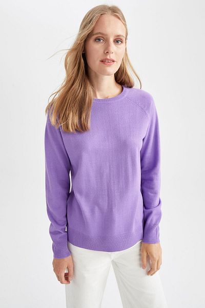 DeFacto Pullover mit Rundhalsausschnitt und entspannter Passform Tyc00550319260