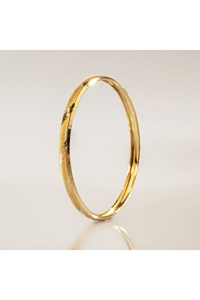 Genç Altın 6 mm 6gr 22 Ayar Şarnel Hediyelik Bilezik